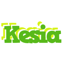 Kesia picnic logo