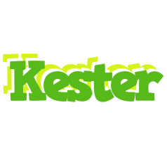 Kester picnic logo