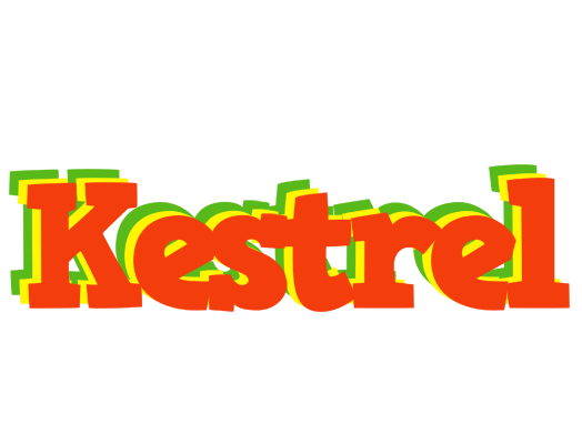 Kestrel bbq logo