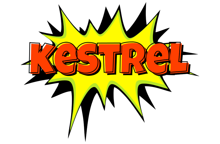 Kestrel bigfoot logo