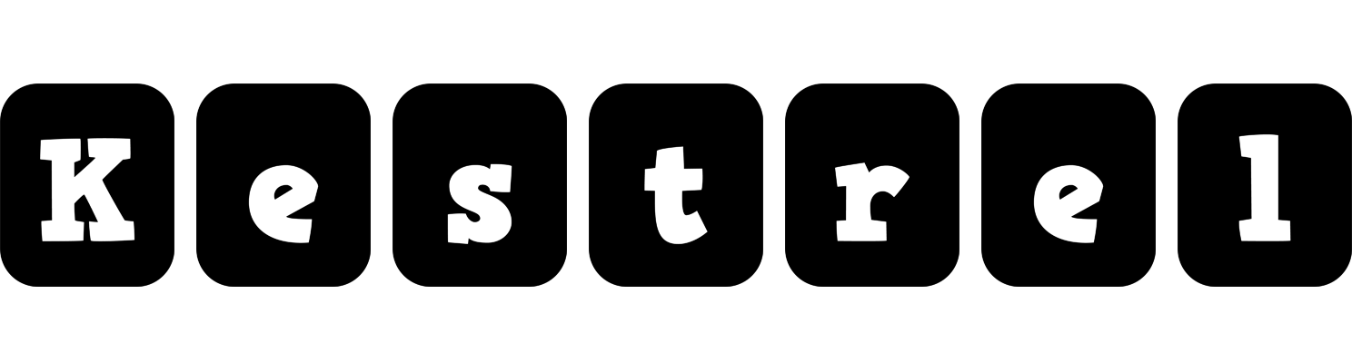 Kestrel box logo