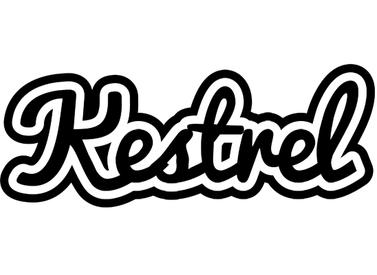 Kestrel chess logo