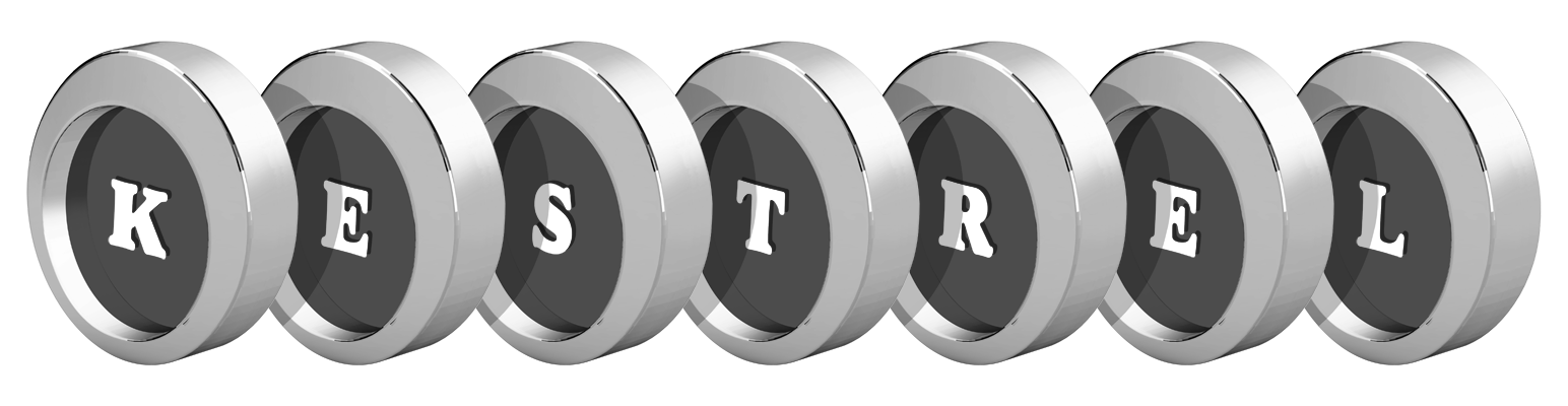 Kestrel coins logo