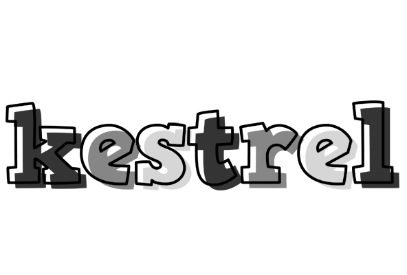 Kestrel night logo