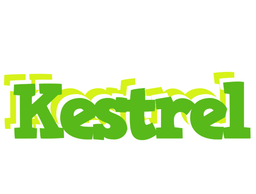 Kestrel picnic logo