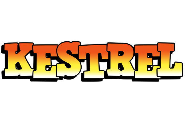Kestrel sunset logo