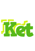 Ket picnic logo