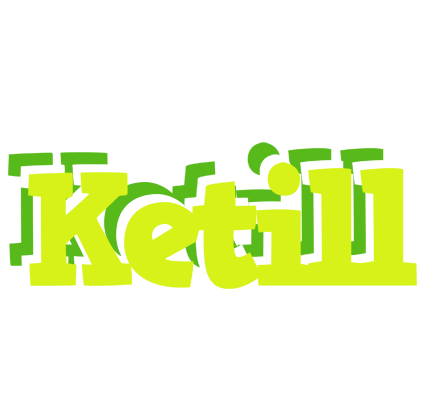Ketill citrus logo