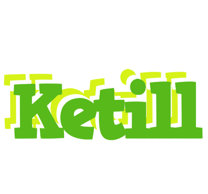 Ketill picnic logo