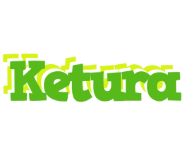 Ketura picnic logo