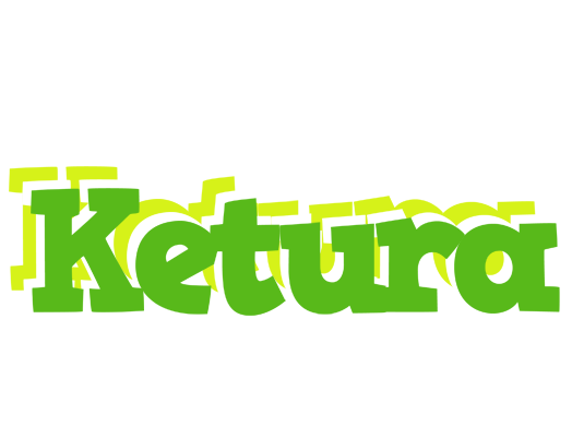 Ketura picnic logo