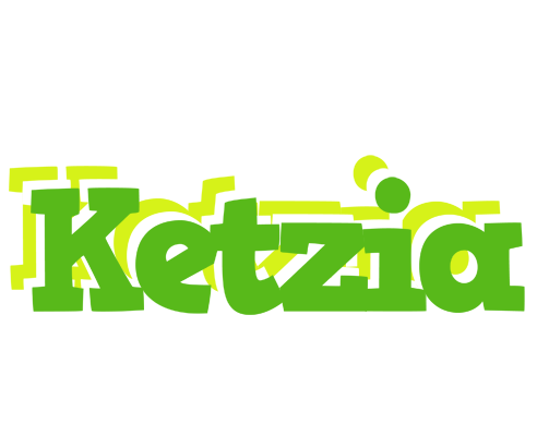 Ketzia picnic logo