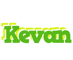 Kevan picnic logo