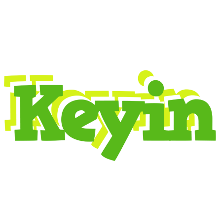 Keyin picnic logo
