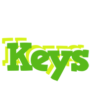 Keys picnic logo