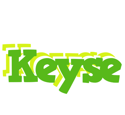Keyse picnic logo