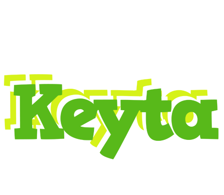Keyta picnic logo