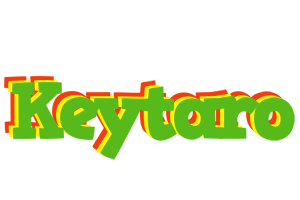 Keytaro crocodile logo