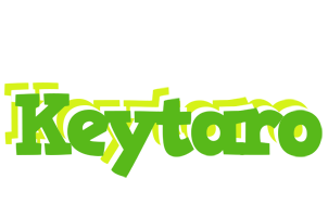 Keytaro picnic logo