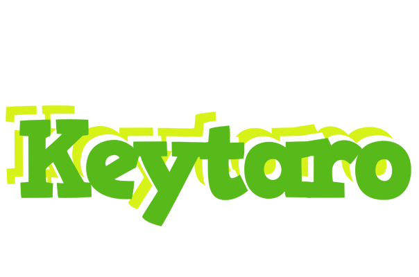 Keytaro picnic logo