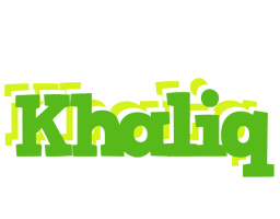 Khaliq picnic logo
