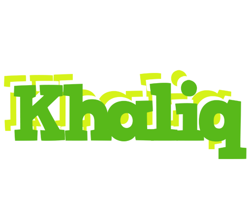 Khaliq picnic logo