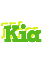 Kia picnic logo