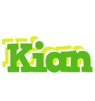 Kian picnic logo