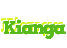 Kianga picnic logo