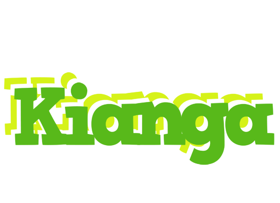 Kianga picnic logo