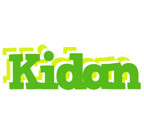 Kidan picnic logo
