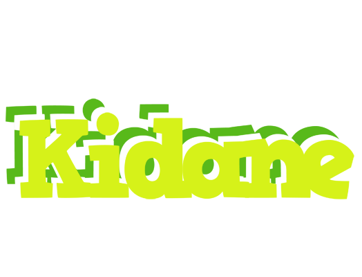 Kidane citrus logo