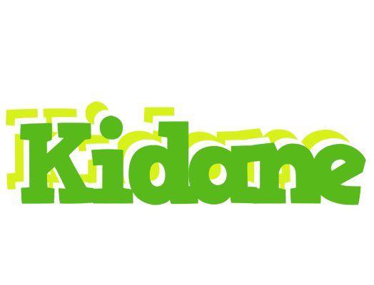 Kidane picnic logo