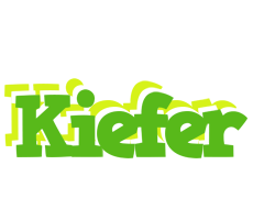 Kiefer picnic logo