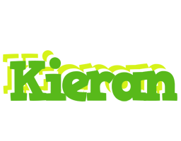 Kieran picnic logo