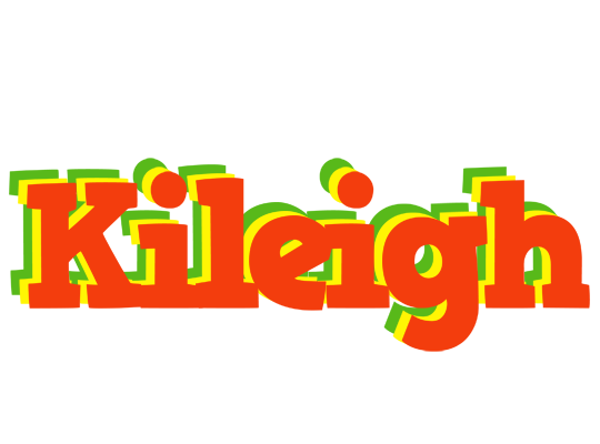 Kileigh bbq logo