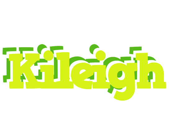 Kileigh citrus logo