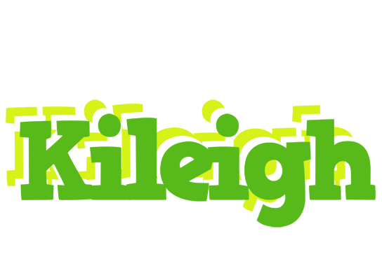 Kileigh picnic logo