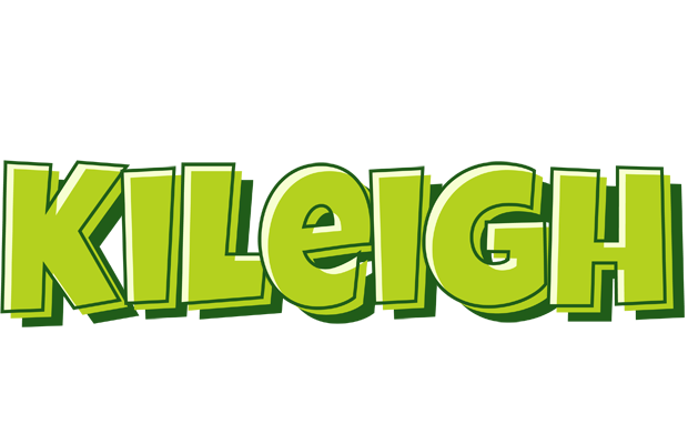 Kileigh summer logo