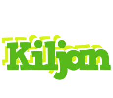 Kiljan picnic logo