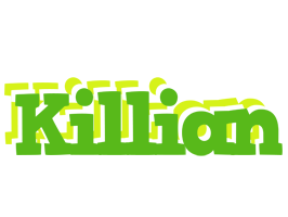 Killian picnic logo