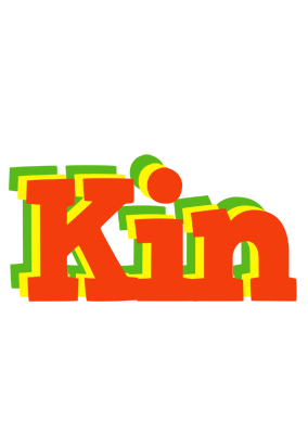 Kin bbq logo