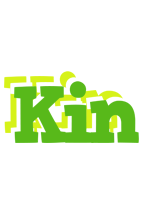 Kin picnic logo