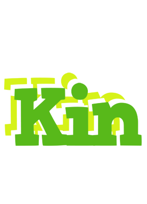 Kin picnic logo