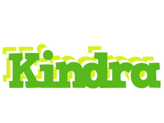 Kindra picnic logo