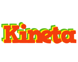 Kineta bbq logo