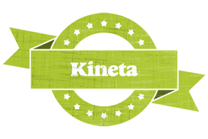 Kineta change logo