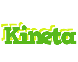 Kineta picnic logo