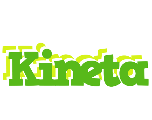Kineta picnic logo