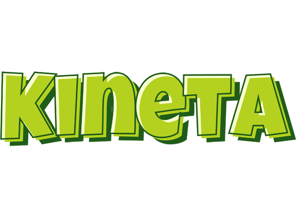 Kineta summer logo